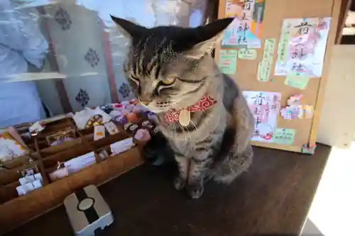 前玉神社の動物