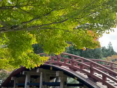 丹生都比売神社(和歌山県)