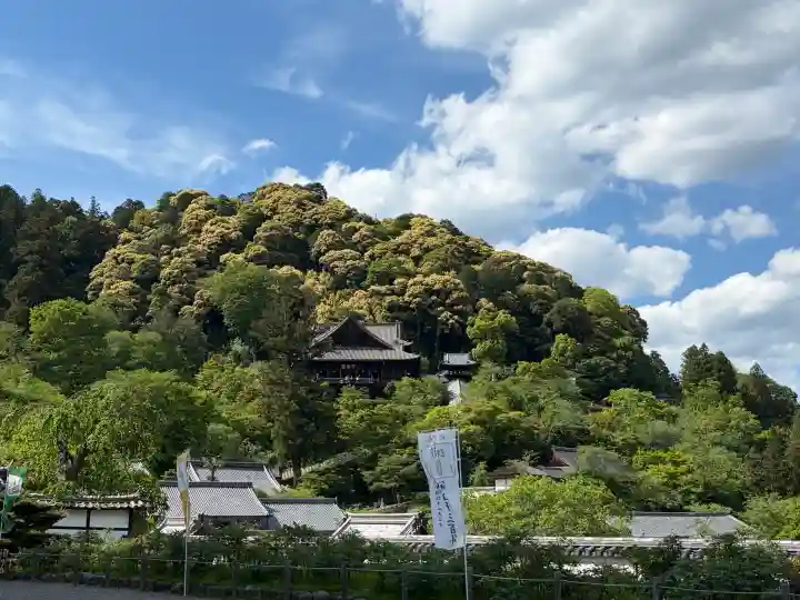 長谷寺本坊 大講堂の{uncategorized: "未分類", other: "その他", undefined: "問題あり", building: "その他建物", grave: "お墓", sacred_gate: "鳥居", guardian: "狛犬", statue: "像", buddha: "仏像", history: "歴史", nature: "自然", garden: "庭園", animal: "動物", pagoda: "塔", temizu: "手水舎", mountain_gate: "山門・神門", sanctuary: "本殿・本堂", subordinate: "末社・摂社", art: "芸術", scenery: "景色", jizo: "地蔵", ema: "絵馬", goshuin: "御朱印", omikuji: "おみくじ", items: "授与品その他", amulet: "お守り", goshuincho: "御朱印帳", eats: "食事", festival: "お祭り", votive_dance: "神楽", shichigosan: "七五三参", wedding: "結婚式", experience: "体験その他", initially: "初詣", around: "周辺", anti_infection: "感染症対策"}