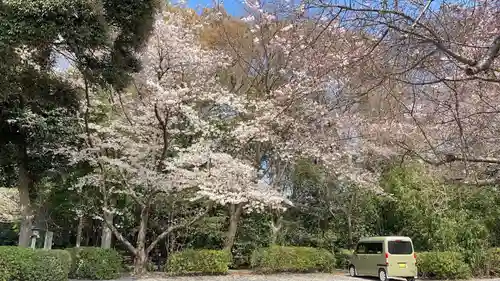 櫻木神社の自然