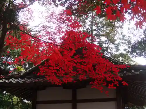 三宅八幡宮の自然