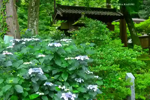 浄智寺(神奈川県)