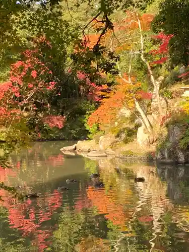 曹源寺の景色