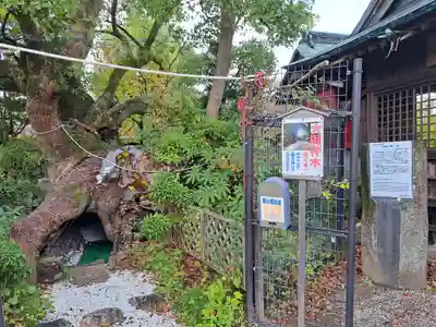 牛嶋天満宮(佐賀県)