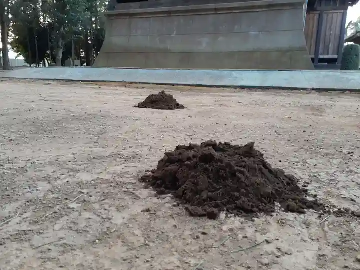 伏木香取神社のその他建物