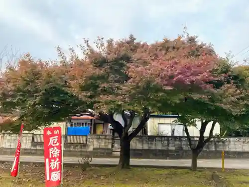 姫宮神社の自然