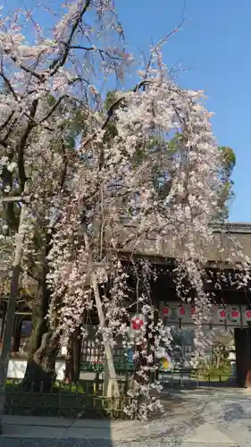 平野神社の自然