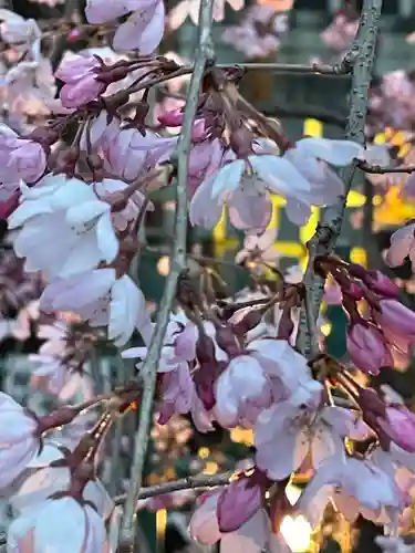 大國魂神社の自然