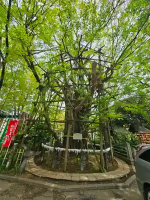 稲毛神社(神奈川県)