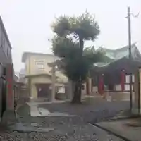 篠原稲荷神社の自然