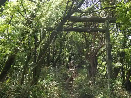 冠ヶ岳の社の鳥居