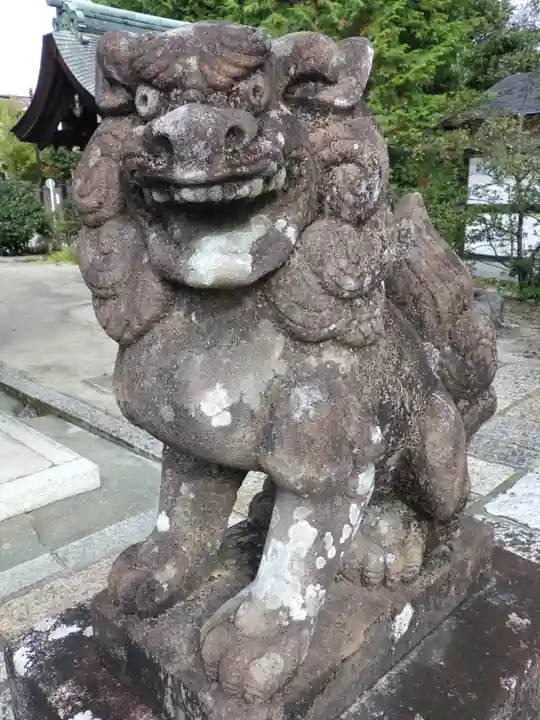 敷地神社(わら天神宮)の狛犬