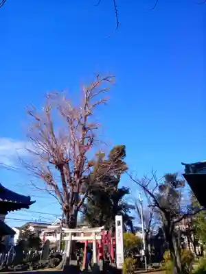 半田稲荷神社の鳥居