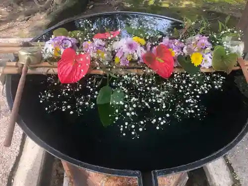 小名浜諏訪神社 ～海の鎮守様～の手水舎