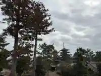 法隆寺 西円堂の{uncategorized: "未分類", other: "その他", undefined: "問題あり", building: "その他建物", grave: "お墓", sacred_gate: "鳥居", guardian: "狛犬", statue: "像", buddha: "仏像", history: "歴史", nature: "自然", garden: "庭園", animal: "動物", pagoda: "塔", temizu: "手水舎", mountain_gate: "山門・神門", sanctuary: "本殿・本堂", subordinate: "末社・摂社", art: "芸術", scenery: "景色", jizo: "地蔵", ema: "絵馬", goshuin: "御朱印", omikuji: "おみくじ", items: "授与品その他", amulet: "お守り", goshuincho: "御朱印帳", eats: "食事", festival: "お祭り", votive_dance: "神楽", shichigosan: "七五三参", wedding: "結婚式", experience: "体験その他", initially: "初詣", around: "周辺", anti_infection: "感染症対策"}