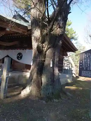 川中島古戦場八幡社(長野県)