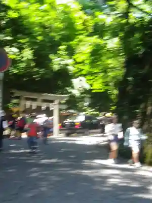銭洗弁財天宇賀福神社(神奈川県)