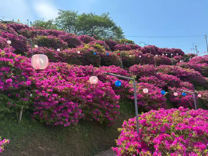 椎宮八幡神社(徳島県)