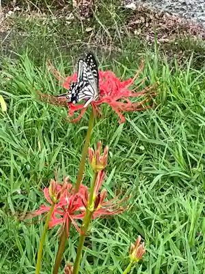横浜　西方寺(神奈川県)