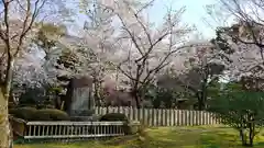 大覚寺の庭園