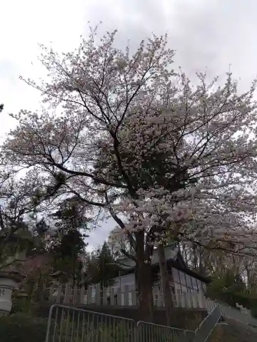 熊野神社(福井県)