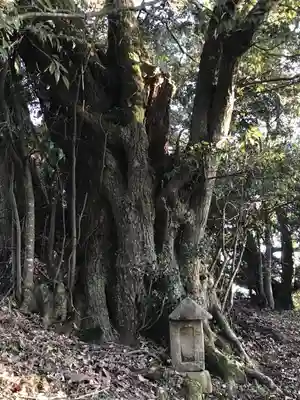 熊野神社のその他建物