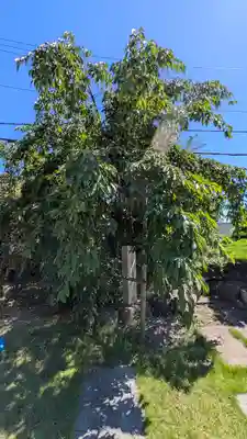 吉祥寺(大阪府)