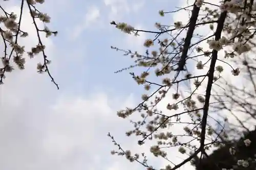 花園神社の自然