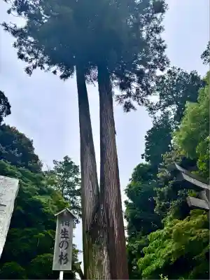 白鷺神社(栃木県)