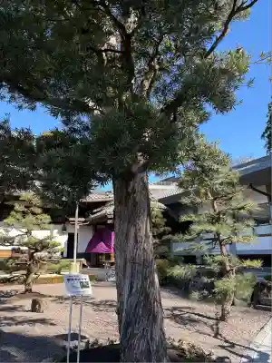 瑞泉寺(愛知県)
