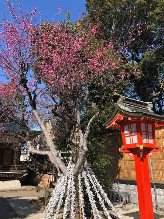馬橋稲荷神社の庭園
