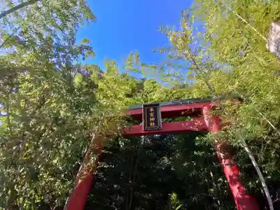 來宮神社(静岡県)