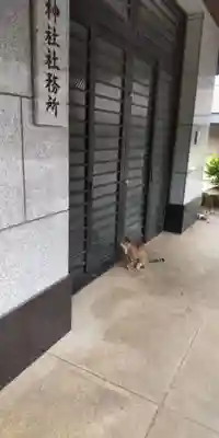 白金氷川神社(東京都)