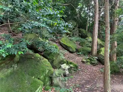 住吉神社の自然