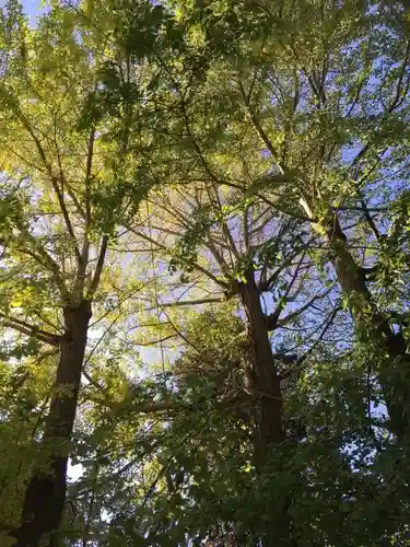 島穴神社の自然