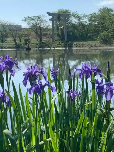 牟禮山観音禅寺の庭園