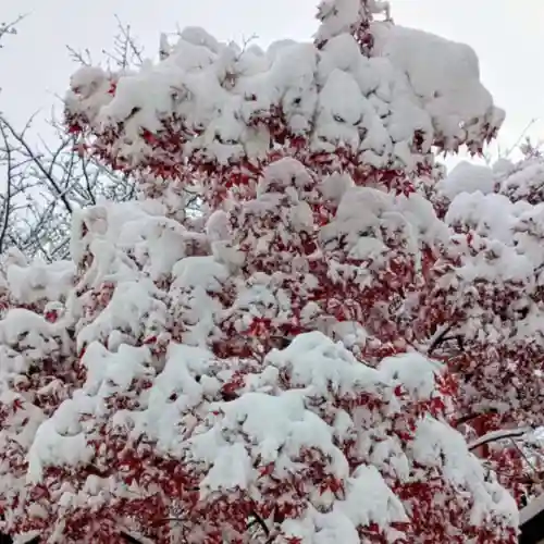彌彦神社　(伊夜日子神社)(北海道)