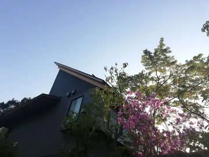 増上寺塔頭 三縁山 宝珠院の自然