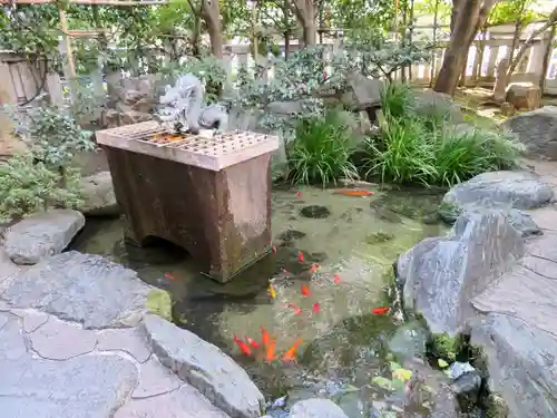 厳嶋神社の庭園