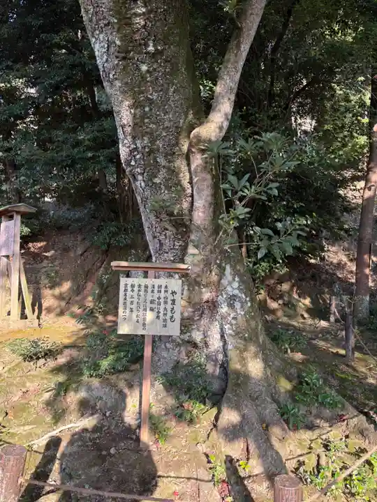金福寺(京都府)