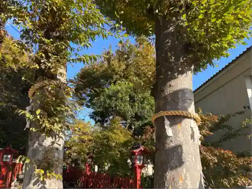 川越八幡宮(埼玉県)