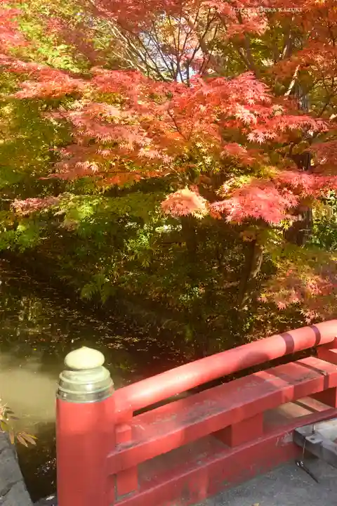 鶴岡八幡宮の自然