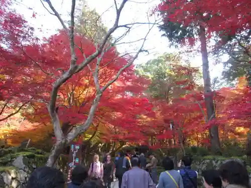 金剛輪寺の自然