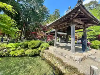 天台宗 五大山 白毫寺(兵庫県)