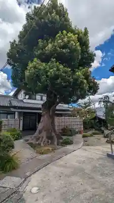 福田寺(京都府)