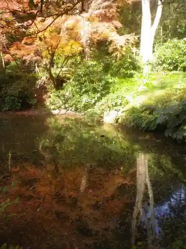 妙本寺の自然