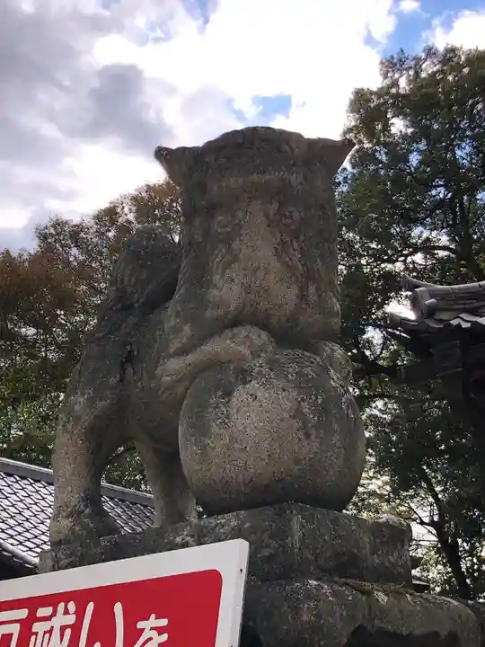 素盞嗚神社の狛犬