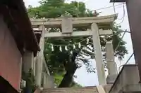 八雲神社の鳥居