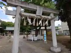 新曽氷川神社(埼玉県)