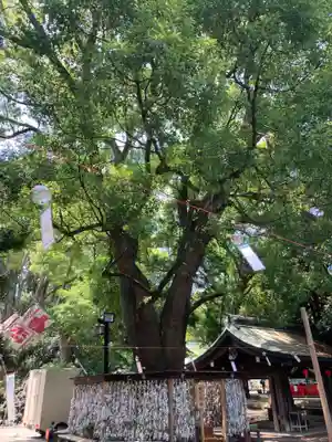 平塚八幡宮(神奈川県)